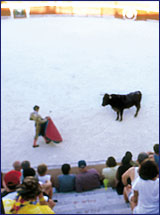 bullfights.jpg